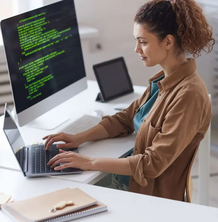 software maintenance services